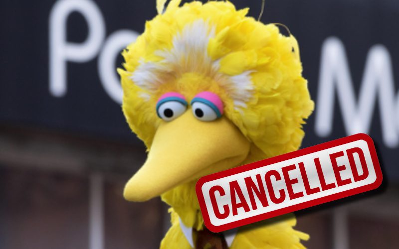 Big Bird Getting Cancelled Over Claims Of Government Propaganda