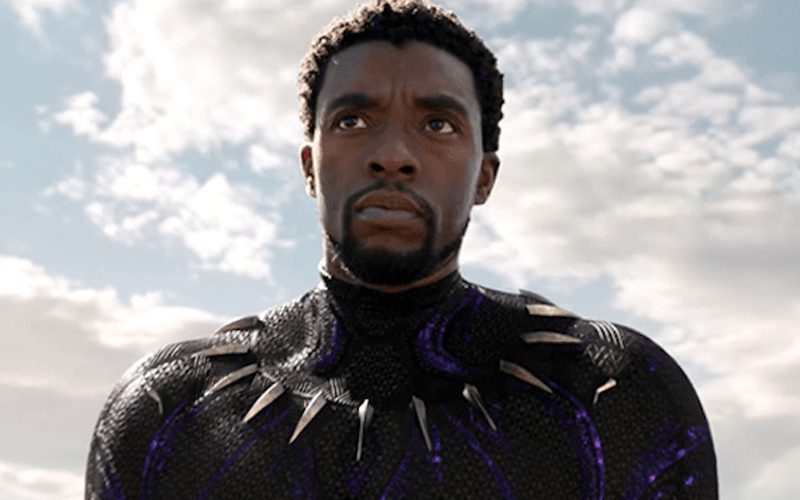 Marvel Will Never Replace Chadwick Boseman As Black Panther