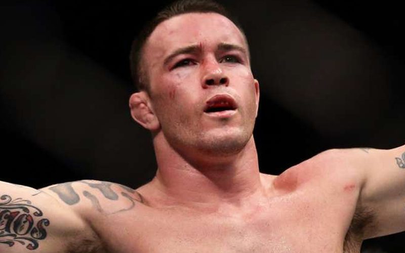 Colby Covington Teases WWE Debut & Disses AEW