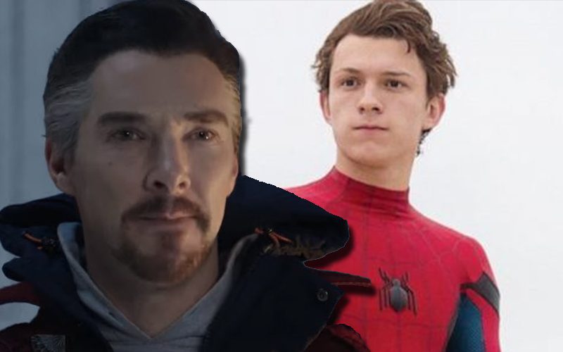 Spider-Man & Doctor Strange Are Not Friends In No Way Home