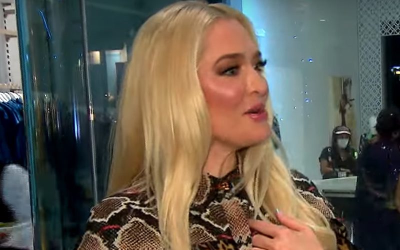 Erika Jayne Posts Cryptic Messages After Developments In Embezzlement Scandal