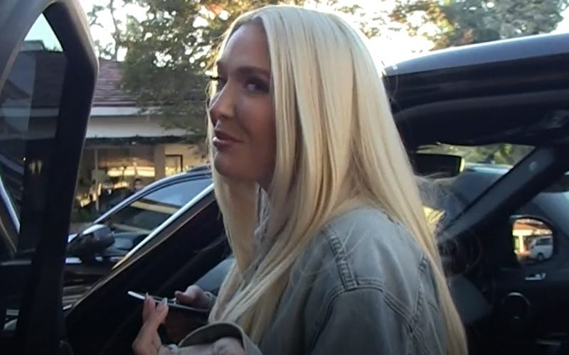 Erika Jayne Says She Will Never Remarry