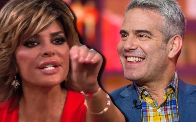 Lisa Rinna Responds To Real Housewives Of Beverly Hills Feuds After Andy Cohen Calls Her Out
