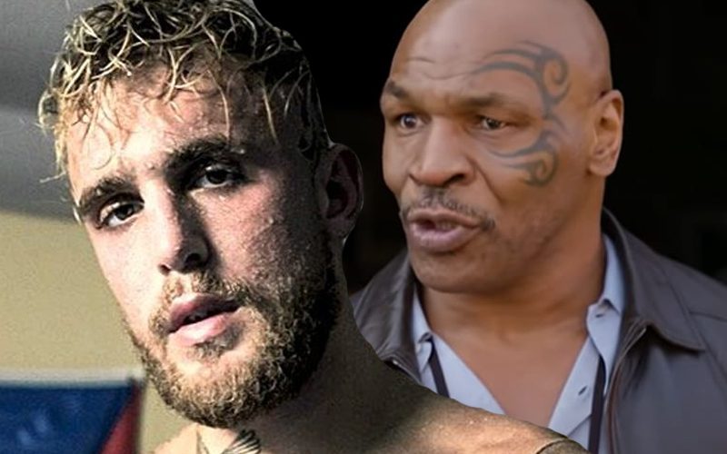 Mike Tyson Is Absolutely Considering Jake Paul Fight