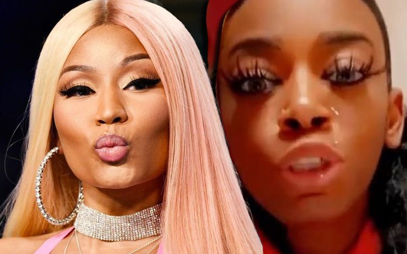 Gorilla Girl Snubbed By Nicki Minaj As She Records Song About Her Struggle