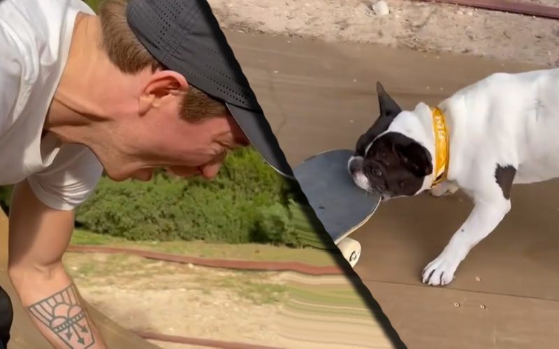 Shaun White’s Dog Attacks His Skateboard & Won’t Let Him Ride