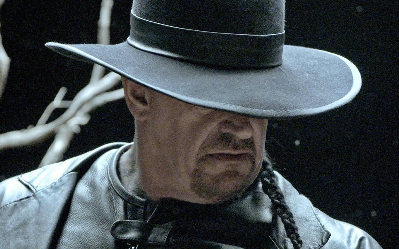 Netflix Escape The Undertaker Director Talks Toning Down The Fighting