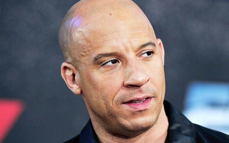 Fans Roast Vin Diesel For Asking The Rock To Return For Fast 10