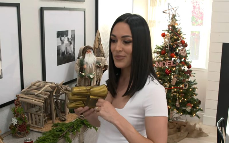 Brie Bella Gives Amazing Christmas House Tour