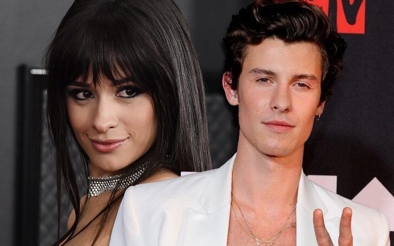 Camila Cabello Reacts To Shawn Mendes’ Breakup Song