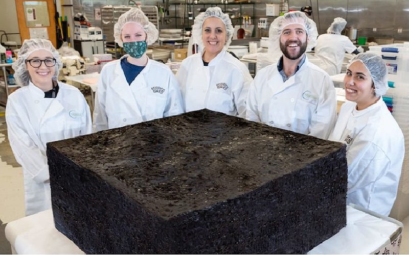 World’s Largest Pot Brownie For Sale