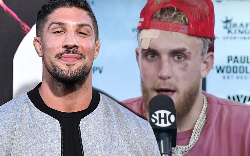 Brendan Schaub Says Jake Paul Deserves Credit For Difficulty Of His Fights