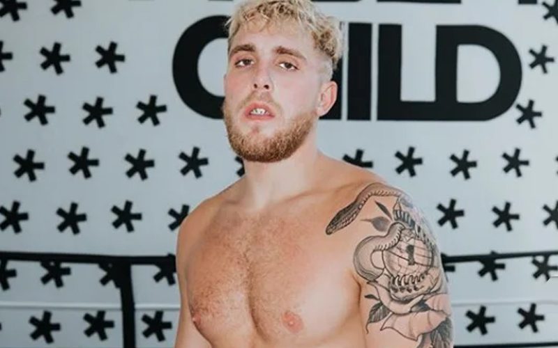 Jake Paul Plans To Become MMA Fighter By Training With Team Khabib