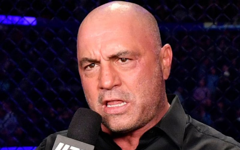 Joe Rogan Says He Tries To Be Respectful On UFC Commentary