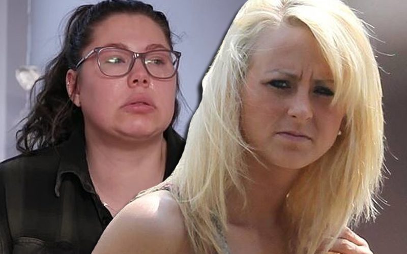 Teen Mom Leah Messer Roasted After Fat-Shaming Kailyn Lowry