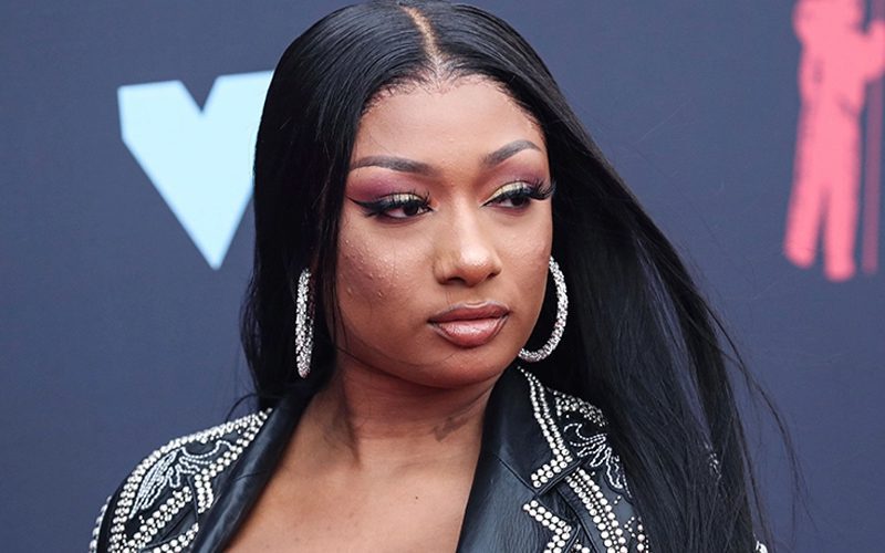 Megan Thee Stallion Was Fighting Female Friend Before Tory Lanez Shot Her