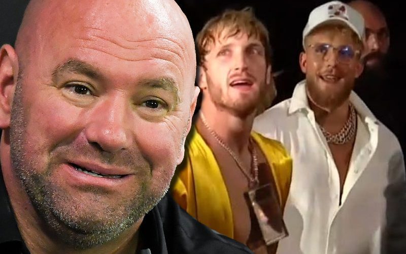 Belief That The Paul Brothers Will Work With Dana White In The Future