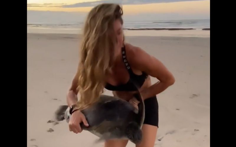 Gisele Bündchen Saves Sea Turtle Trapped In Fishing Net