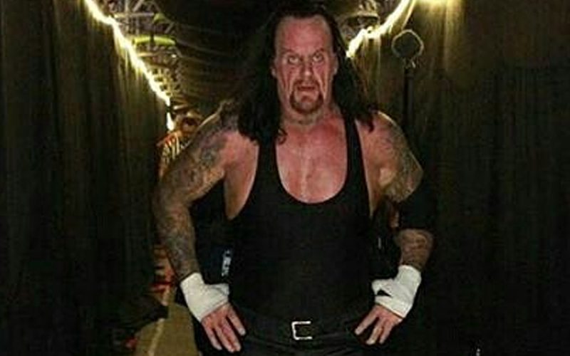 The Undertaker Constantly Rejected Dangerous WWE Match Idea