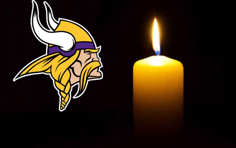 Vikings Fan Dies Weeks After Fall During Packers Game