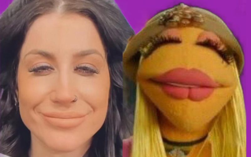 Teen Mom Fans Troll Chelsea Houska For Looking Like A Muppet
