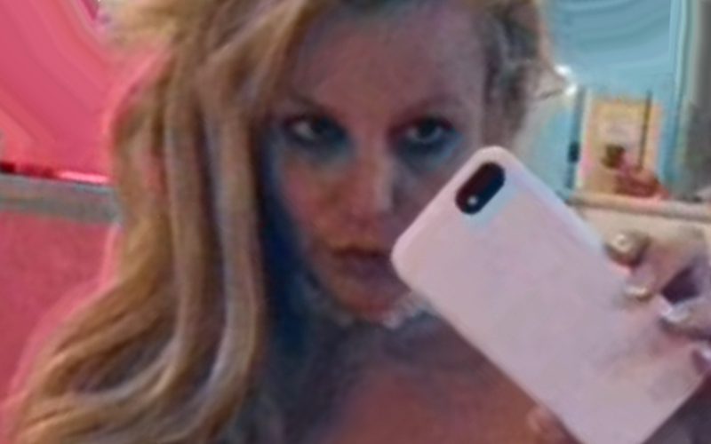 Britney Spears Bares All While Showing Off Free Woman Energy