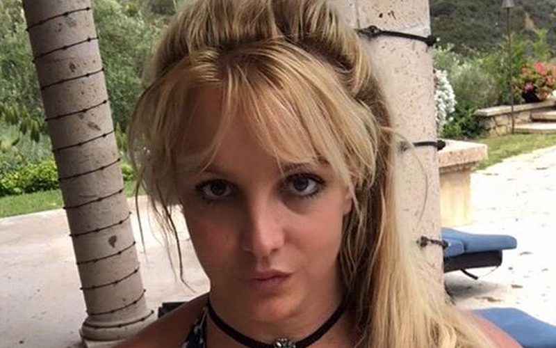 Britney Spears Catches Huge Attention With New Booty Time Photo