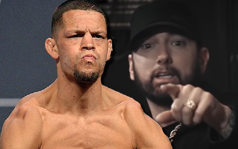 Nate Diaz Uses Eminem Song To Fire Back At Haters