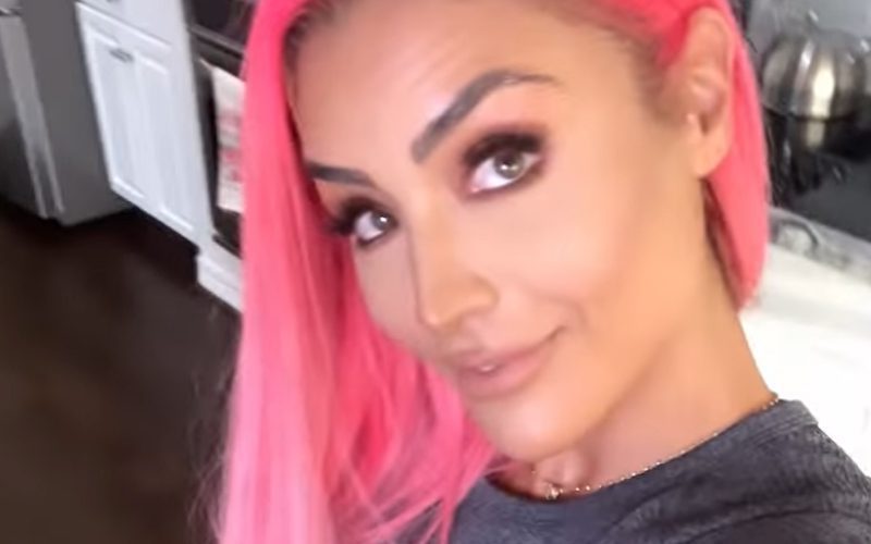 Eva Marie Shows Off Several Revealing Outfit Choices In New Video Drop