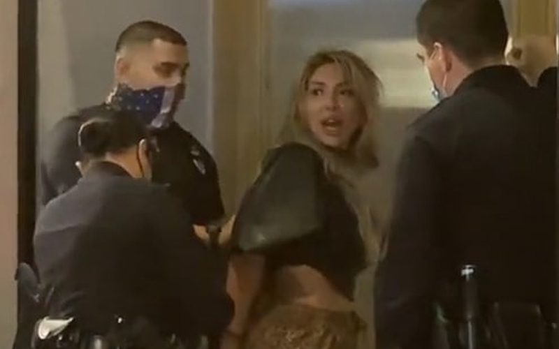Farrah Abraham Arrested After Slapping Security Guard At Club