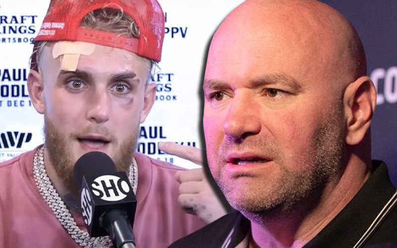 Jake Paul Goes All Out To Promote Anti-Dana White Hashtag