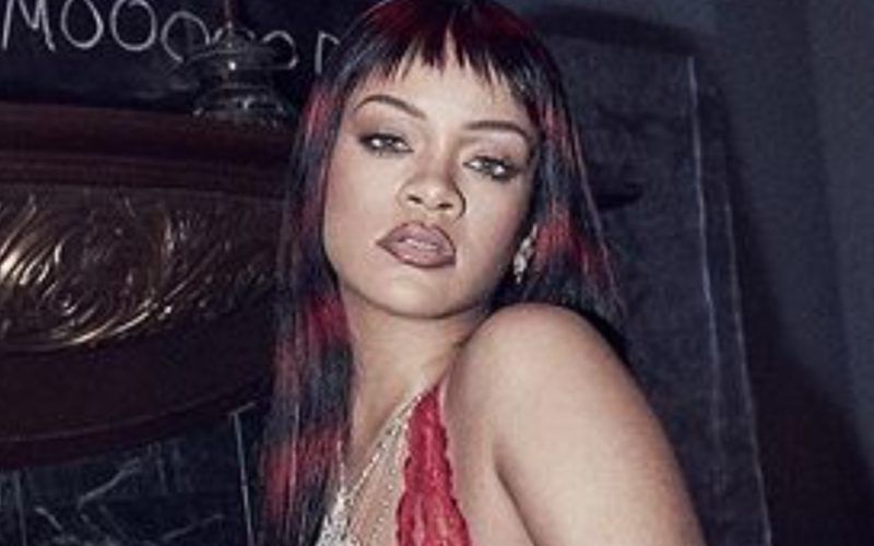 Rihanna Shows Off Her Body In Latest Savage X Fenty Collection