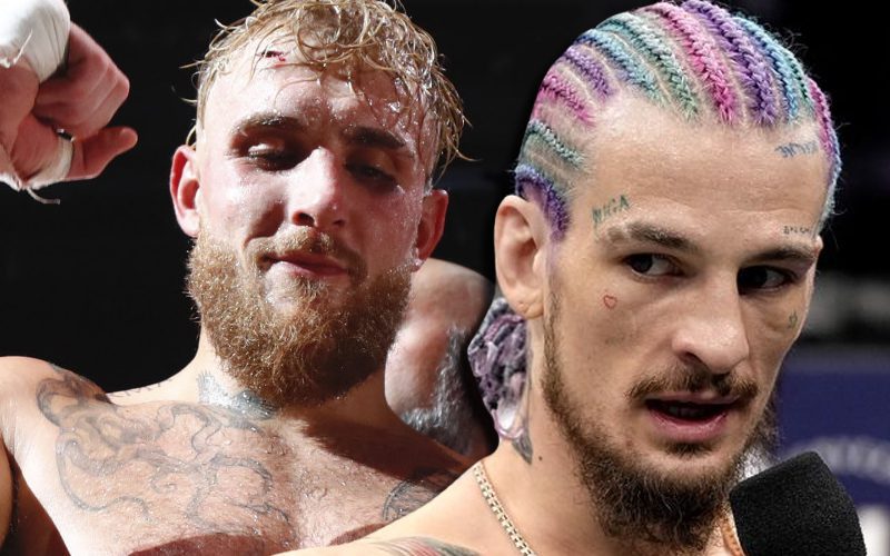 Sean O’Malley Doubts Jake Paul Will Succeed In MMA