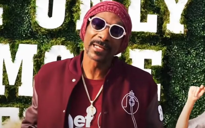Snoop Dogg Says Algorithm Movie Accompanies His Def Jam Compilation Album