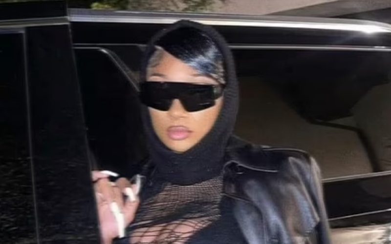 Megan Thee Stallion Stuns With Bold See-Through Outfit