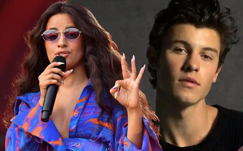 Camila Cabello Fans Are Convinced Her New Song Is About Shawn Mendes