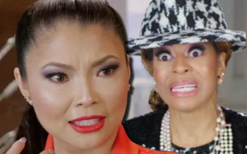 Jennie Nguyen Throws Glass At Mary Cosby During Insane Real Housewives Fight