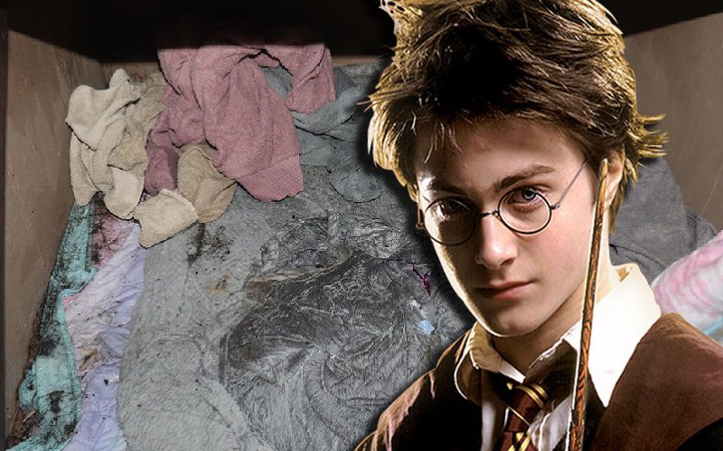 Missing Six-Year-Old Girl Found In Harry Potter-Like Hiding Place Under Parents’ Stairs