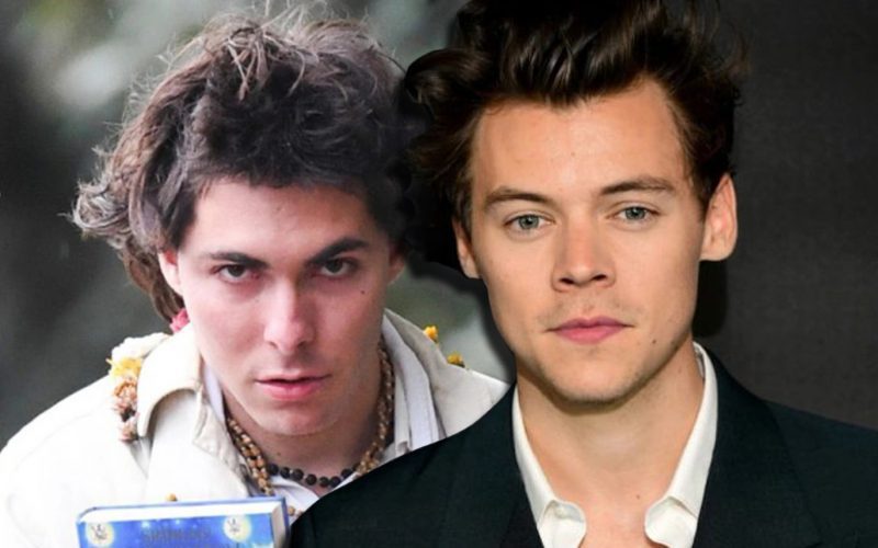 Harry Styles’ Stalker Breaks Into His Home & Assaults Staff
