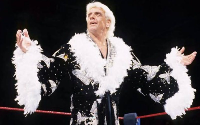 Ric Flair Is Becoming A Hologram