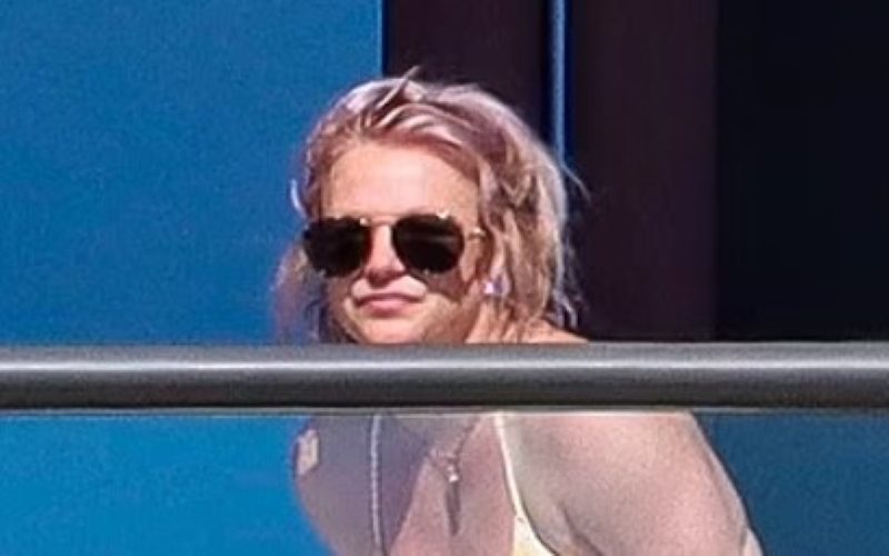 Britney Spears Enjoys The Tropical Sun In Ultra Skimpy Bikini