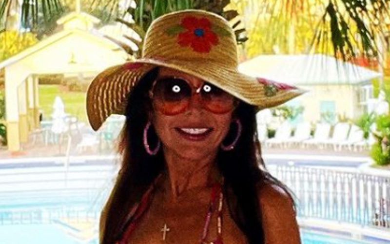 Ric Flair’s Ex Wendy Barlow Shares Her Peace With Bikini Drop After Split