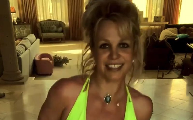 Britney Spears Welcomes New Member To Her Family