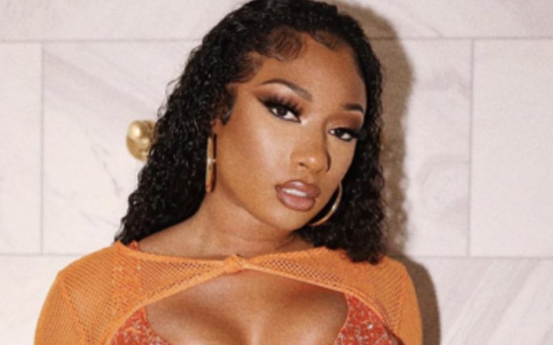 Megan Thee Stallion Lands Role In R-Rated Musical Comedy