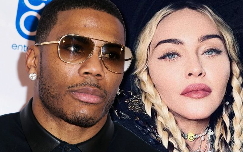 Nelly Gets Massively Roasted For Telling Madonna To Cover Up