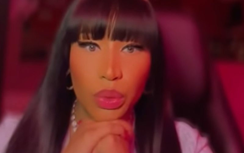 Nicki Minaj’s ‘Barbz’ Fans Called Out For Believing Anything She Says