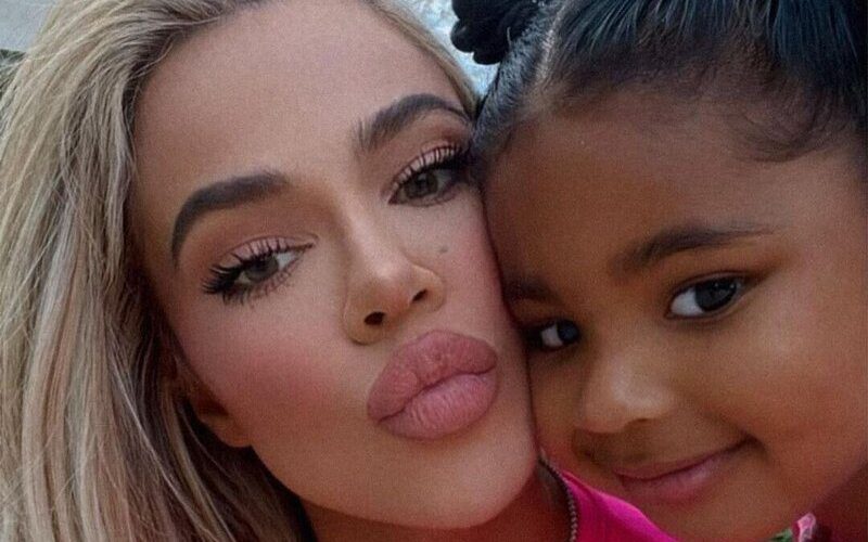 Khloe Kardashian Looks Unrecognizable With A Huge Pout With Daughter True