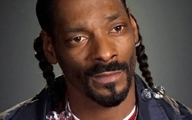 Snoop Dogg Hit With Disturbing Assault Lawsuit