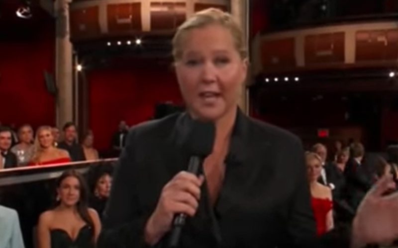 Amy Schumer Responds To Claims That She Disrespected Kirsten Dunst At Oscars