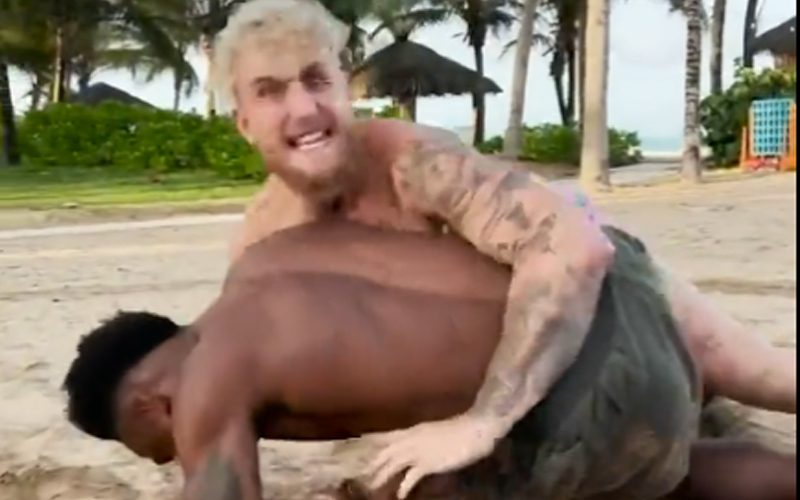 Jake Paul Brutally Trolls Conor McGregor While Training For MMA